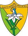 Siervas de la Inmaculada Concepción